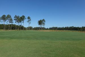 Broomsedge 7th Green
